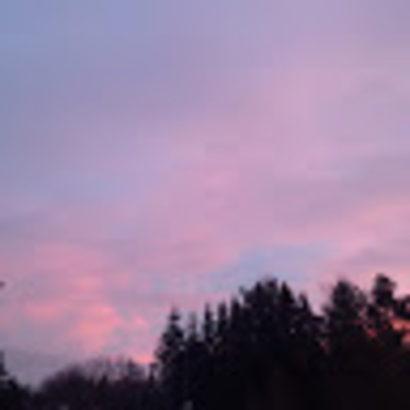 Meet your Posher, Starlet - Picture 1 of 1